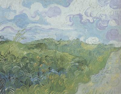 Vincent Van Gogh Green Wheat Fields (nn04) china oil painting image